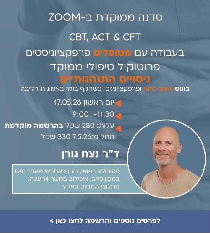עבודה עם מטופלים פרפקציוניסטים